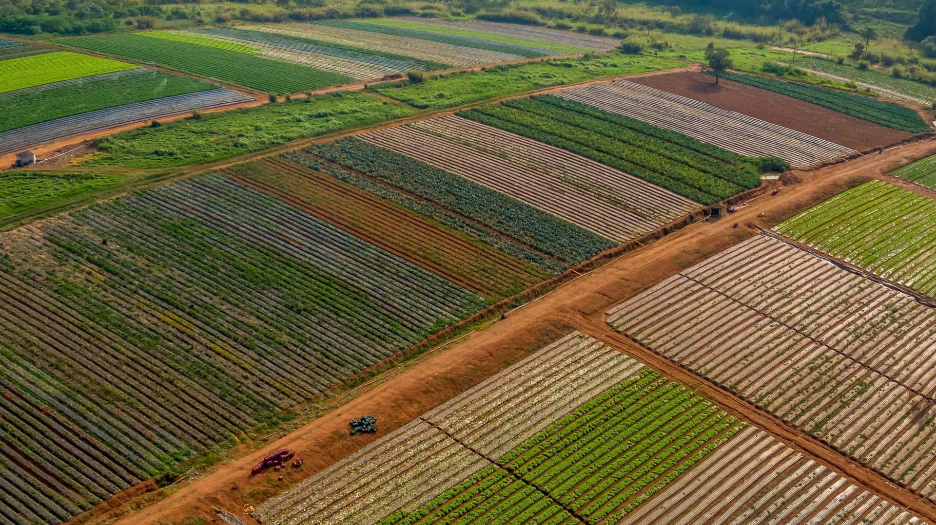 Top background agricultural topography