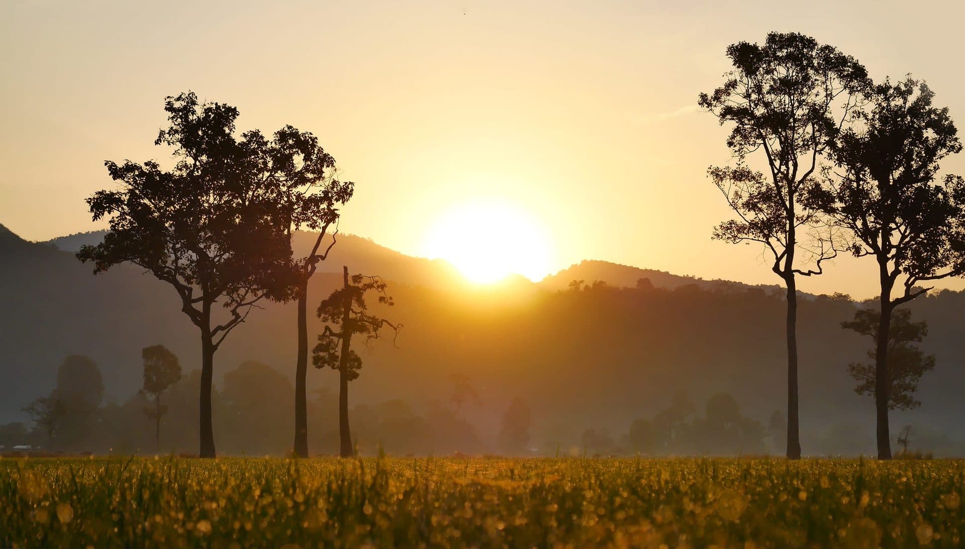 Bottom background sunset landscape